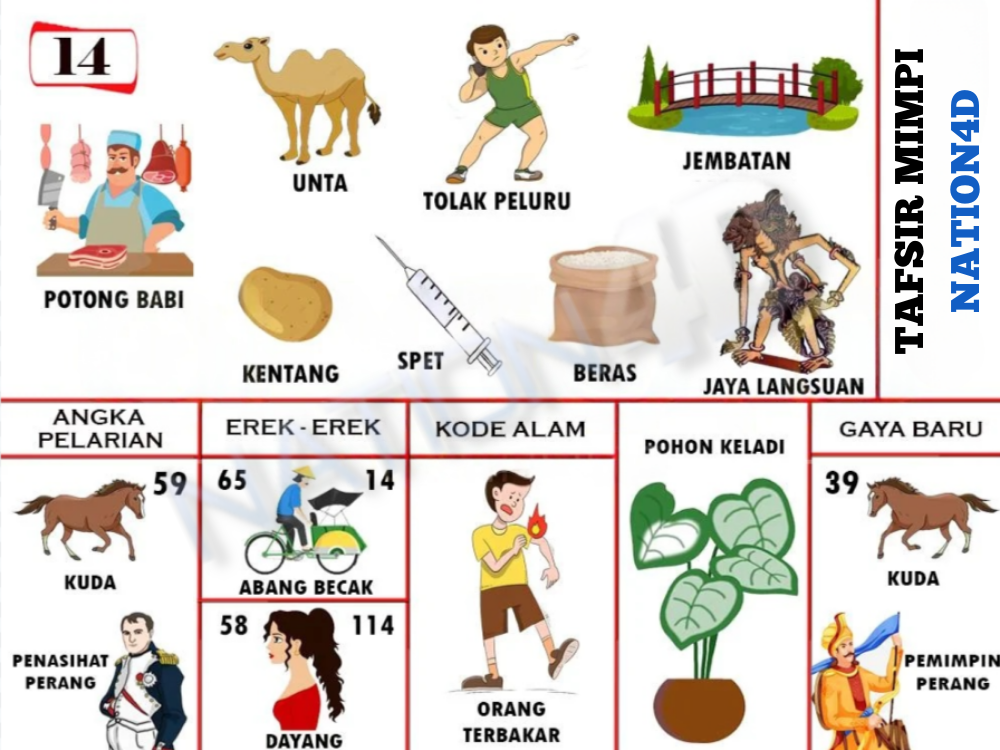 Buku Mimpi 14