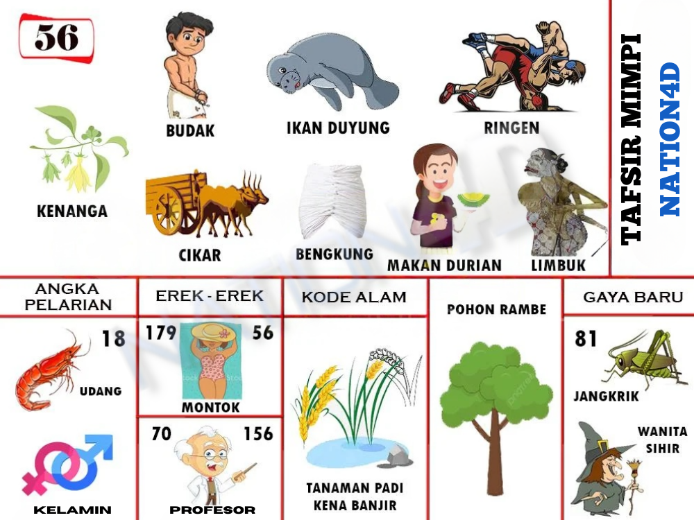 Buku Mimpi 56